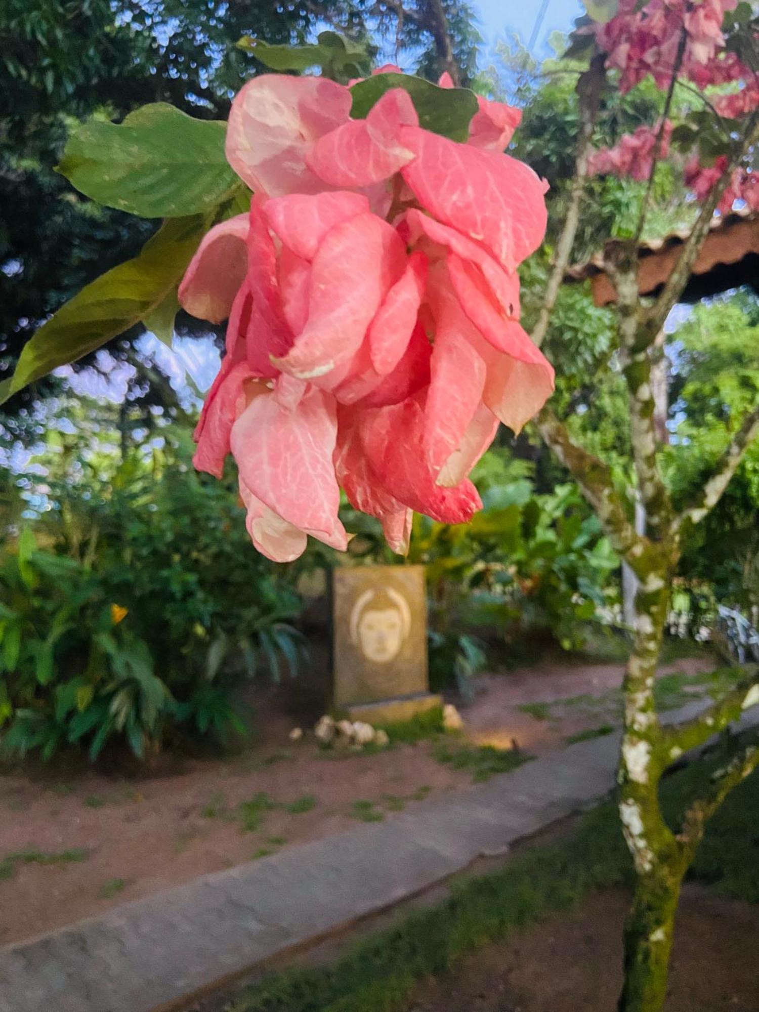Pousada Coco Dende Velha Boipeba Extérieur photo